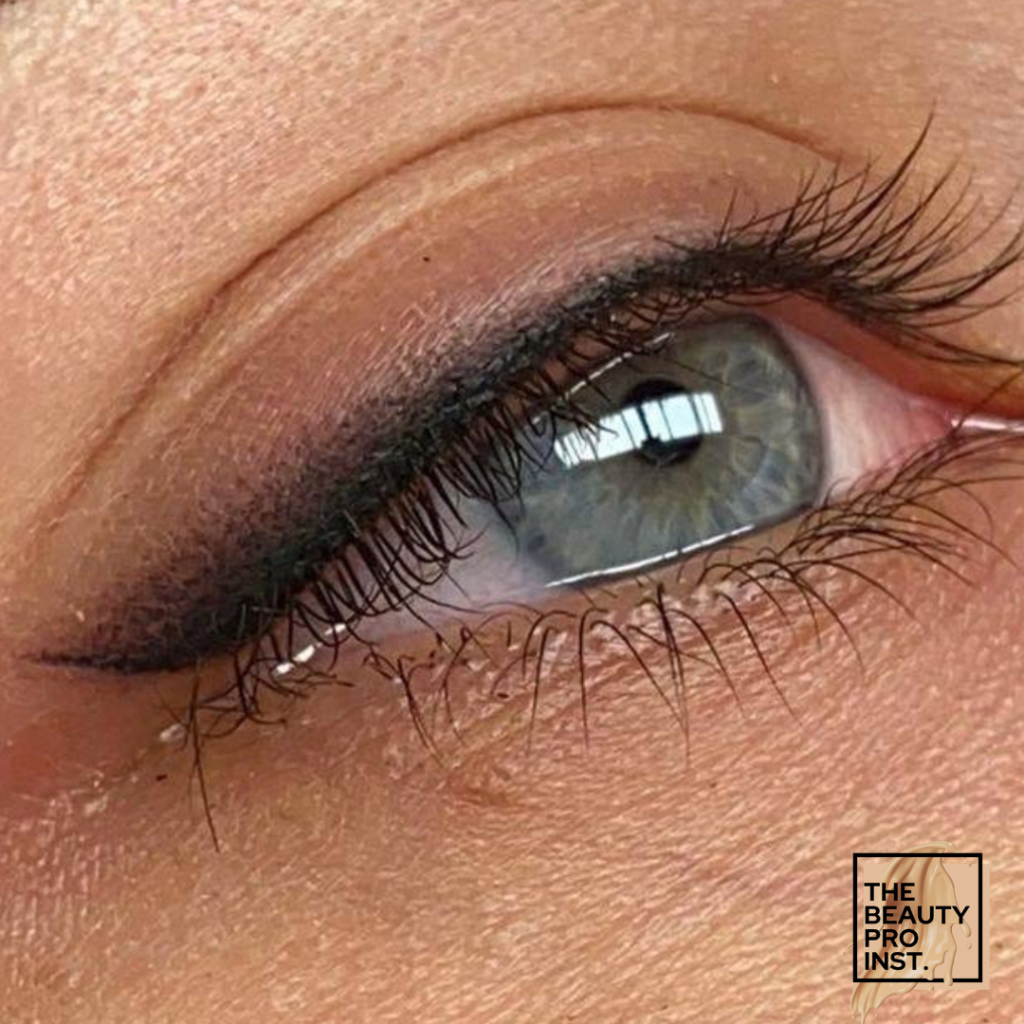 Permanent Makeup Eyeliner